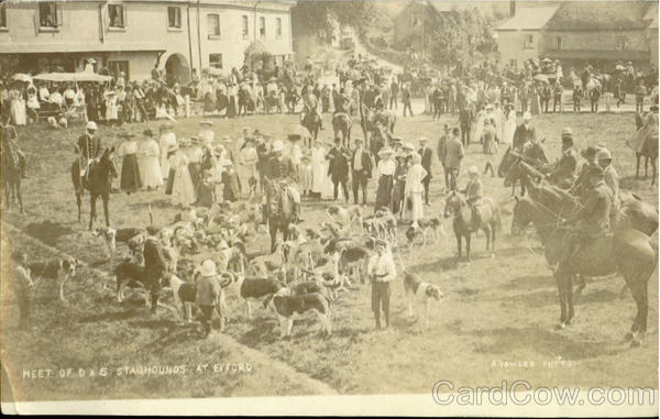 Meet Of Das Staghounds At Exford England