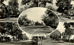 Petts Wood England Postcard Postcard