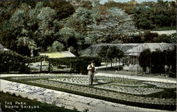 The Park,North Shields Postcard
