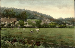 Stock #82478 Thumbnail