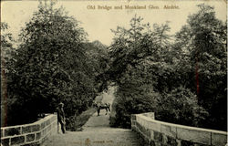 Old Bridge and Monkland Glen Airdrie, England Postcard Postcard