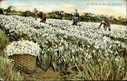 Stock #82490 Thumbnail