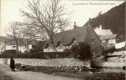 Lulworth.The Cove Cottage Postcard