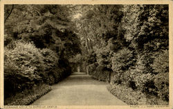 Stock #82540 Thumbnail