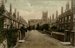 Wells Cathedral & Vicars Close Postcard