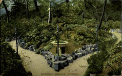 Botanical Gardens Sheffield, England Yorkshire Postcard Postcard