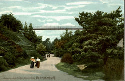 Suspension Bridge Alum Chine Postcard