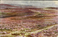The Moors, near Steiahts Postcard