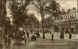 The Promenade Chelteham, England Postcard Postcard