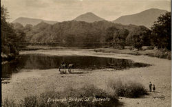 Dryburgh Bridge Postcard