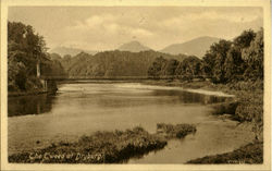The Eweed at Dryburgh England Postcard 