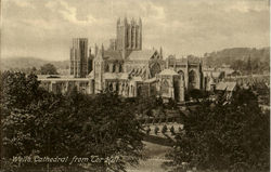 Wells Cathedral from Tor Hill Postcard