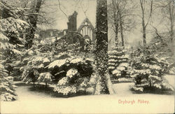 Dryburgh Abbey Postcard