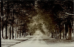 Oswestry park Postcard