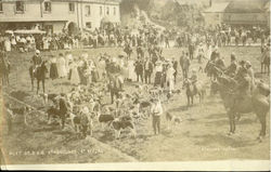 Meet Of Das Staghounds At Exford Postcard