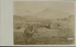 Torver Postcard