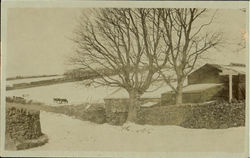 Stock #82994 Thumbnail