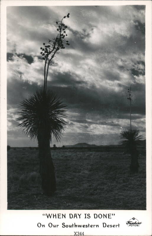 When Day Is Done Southwestern Desert Yucca Silhouette