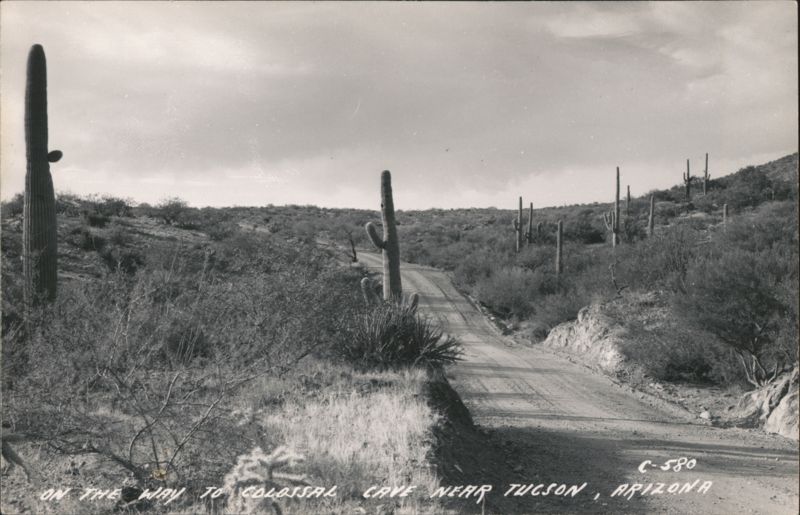 Desert Road to Colossal Cave, Saguaro Cacti Landscape Tucson Arizona