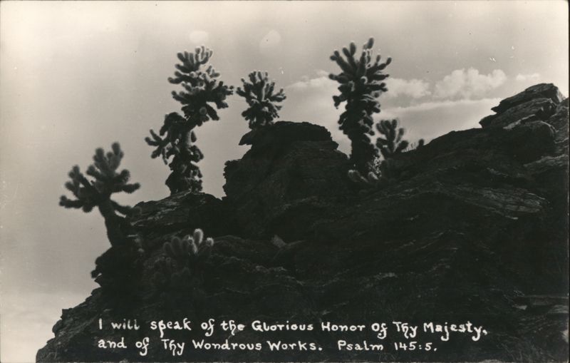Cacti Silhouette on Rocks Psalm 145:5 Bible Verse Cactus & Desert Plants