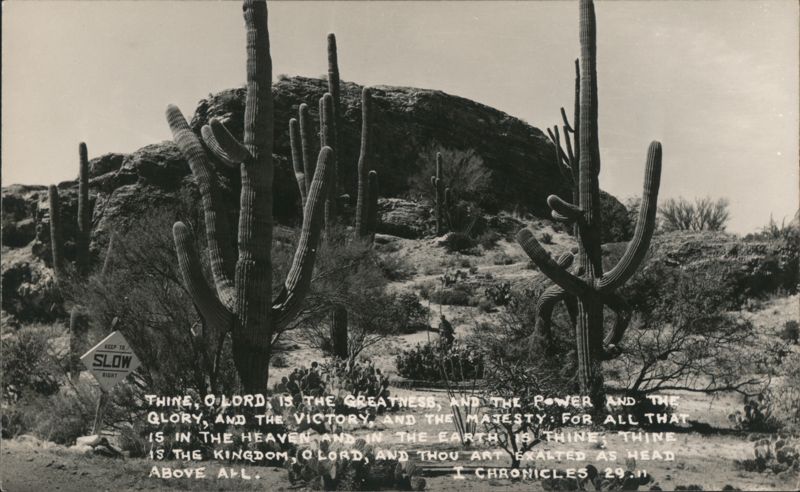 Saguaro Cacti Desert Landscape I Chronicles 29:11 Verse Tucson Arizona