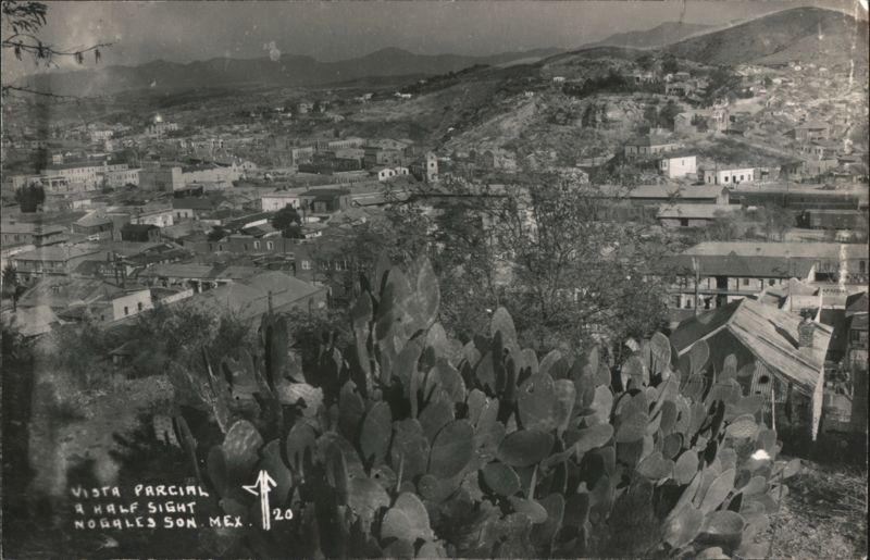 Vista Parcial Nogales Sonora Mexico Panoramic View with Cactus