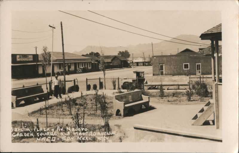 Jardin, Plaza y Av. Madero, Garden Square View Naco SO Mexico