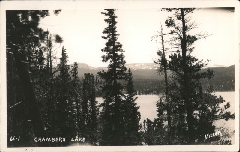 Chambers Lake Scenic View Framed by Pine Trees Colorado