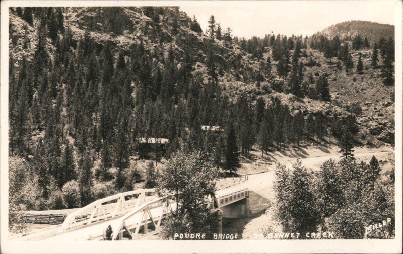 Poudre Bridge to Bennet Creek, Mountain Landscape by Miller Colorado