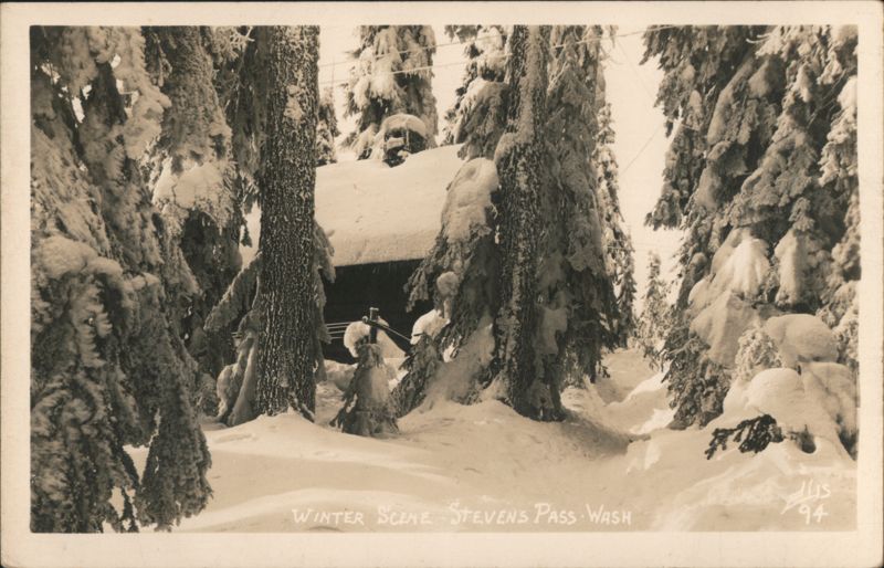 Winter Scene Stevens Pass Washington Snow Covered Trees