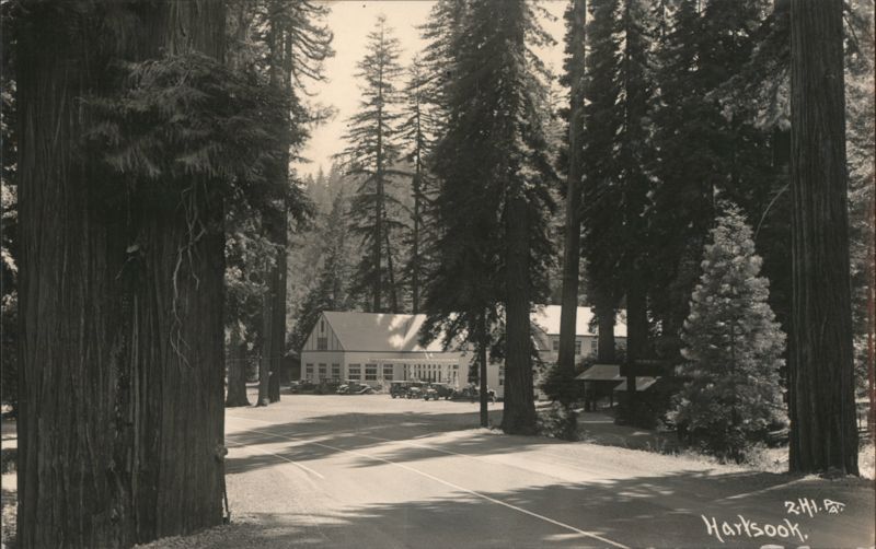Hartsook Inn Lodge Among Giant Redwoods, Vintage Cars California