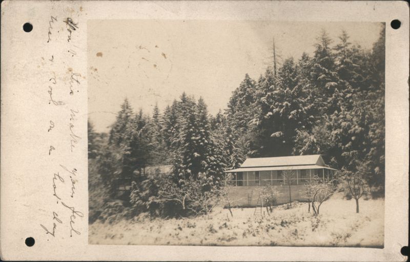 Cabin in Pine Forest Landscape Saint Helena California