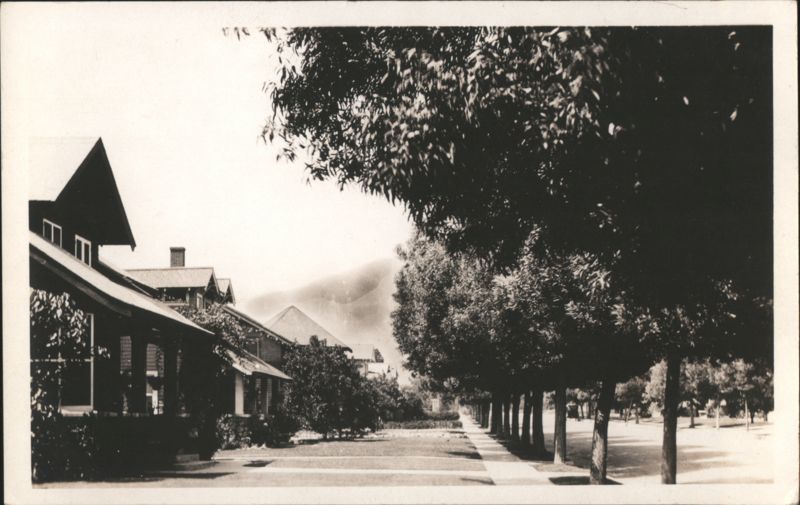 Tree-Lined Residential Street with Craftsman Bungalows