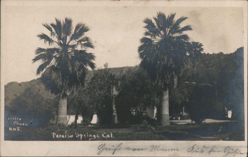 Paraiso Springs Resort Grounds Palm Trees California