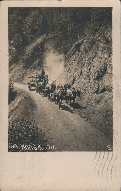 Horse Drawn Wagon Team on Dusty Mountain Road La Honda California