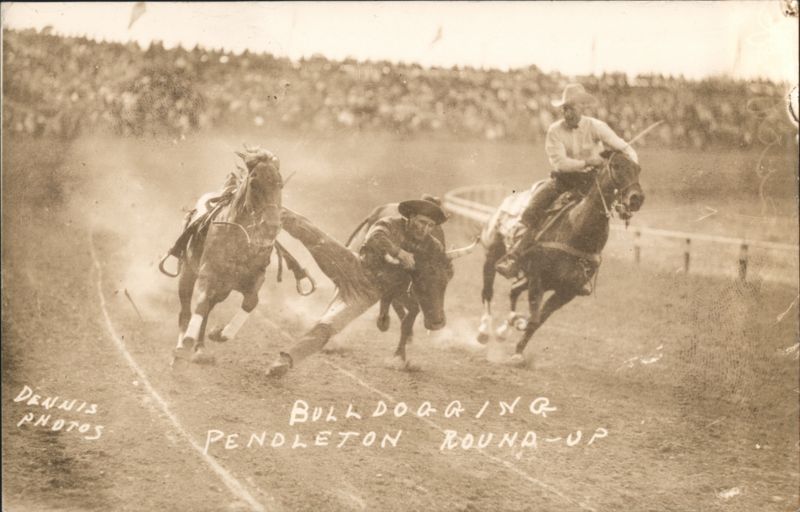 Bulldogging Steer Wrestling at Pendleton Round-Up Rodeo Oregon