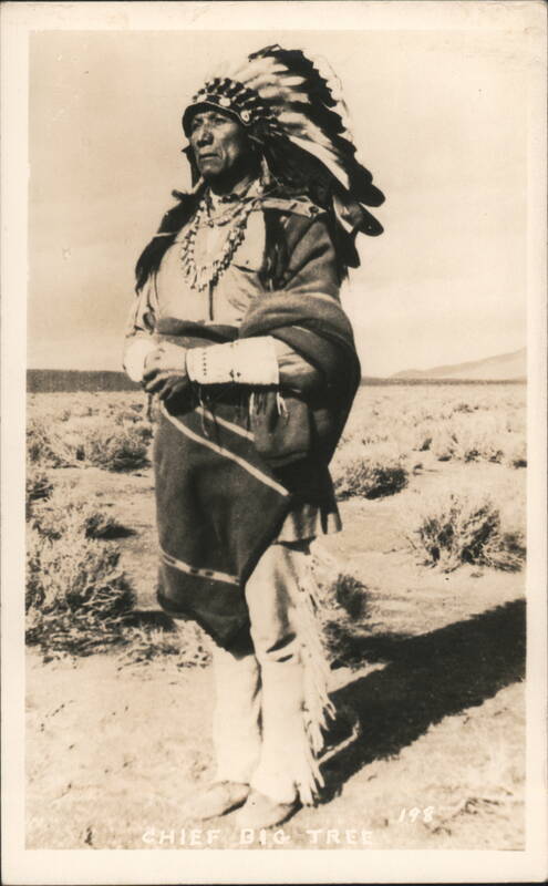 Chief Big Tree Native American Portrait Feather Headdress