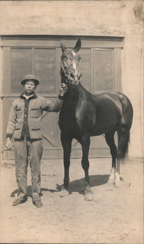Man in Cardigan Sweater Holding Dark Horse by Bridle