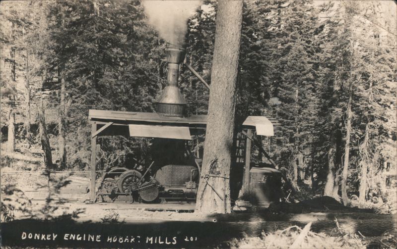 Steam Donkey Engine Logging Operation Hobart Mills California