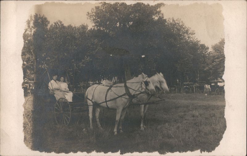 Two Women Seated in Buggy with White Horse Team Clarinda Iowa