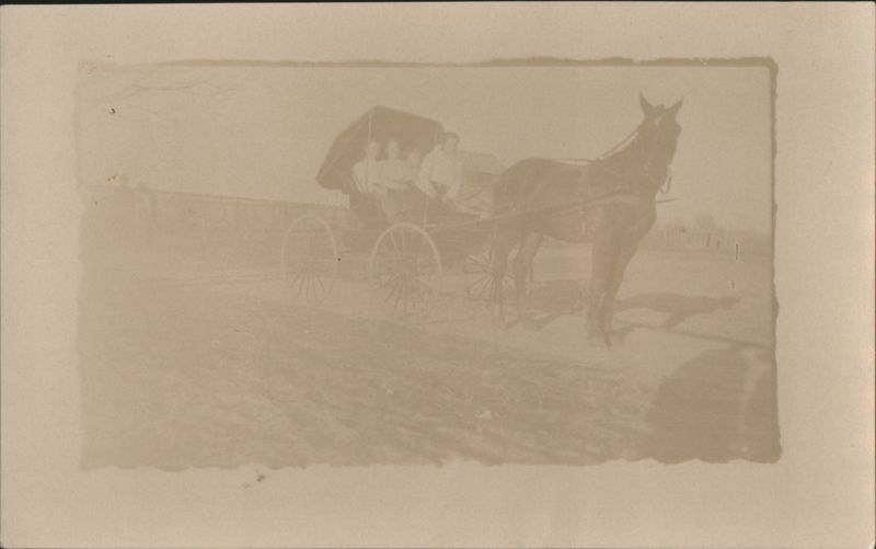 Horse-Drawn Carriage with Four Passengers