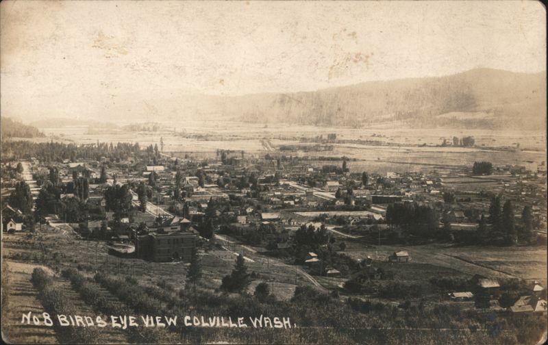 Birds Eye View of Valley Town and Orchard Landscape No 8 Colville Washington