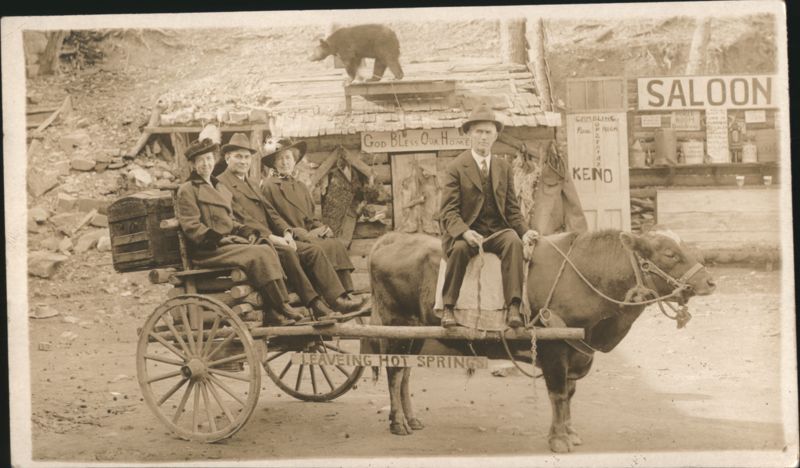 Tourists on Ox Cart Leaving Hot Springs AR Bear on Roof Arkansas