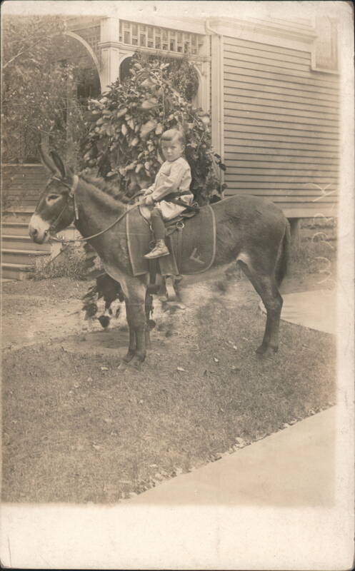Child on Donkey, W.L. French View Co., Put-in-Bay, Ohio