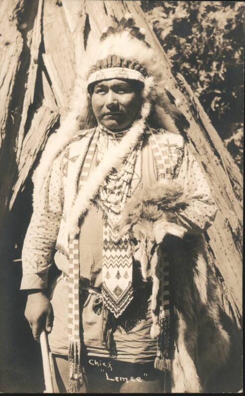 Chief Lemee Native American Portrait in Traditional Regalia