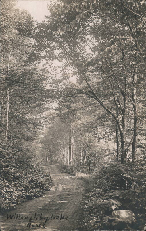 Willoughby Lake Road Dirt Path Through Forest Trees Vermont