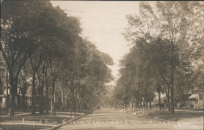 Judson Ave N from Hamilton St, Tree-Lined Residential Street Evanston Illinois