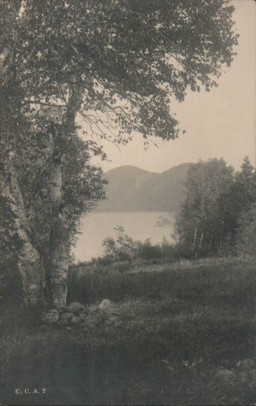 Jordan Pond, Mt. Desert, Maine - Birch Trees and Mountains Mount Desert