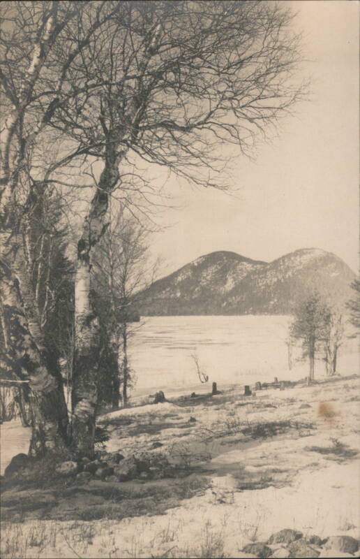 Winter at Jordan Pond, Snow & Birch Trees Seal Harbor Maine