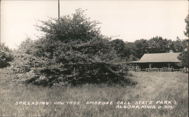 Spreading Haw Tree Ambrose Call State Park Algona Iowa